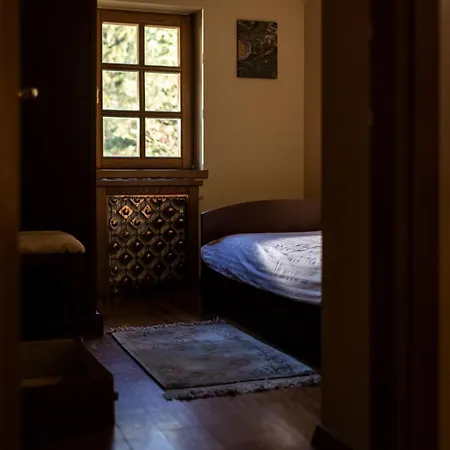 Chalet Javorova Dolina Ravna Gora