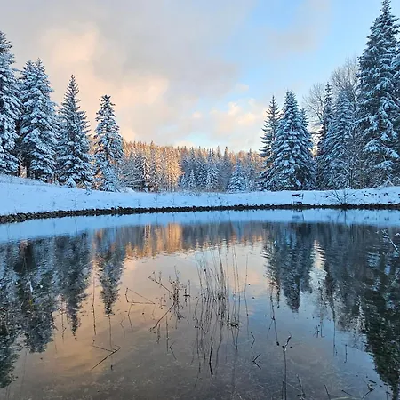 Javorova Dolina * Ravna Gora